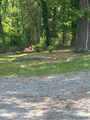 Serene Retreat! 420 Friendly In Designated Area, 3 Minutes To Downtown Richmond Buitenkant foto